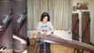 Everlong des Foo Fighters joué sur une harpe chinoise traditionnelle