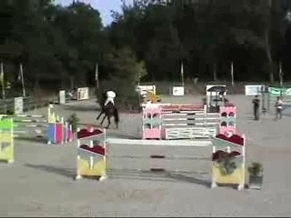 Cheval de grand prix Hamada rouge / grand prix horse