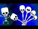 Scheletro dito famiglia | Video per i capretti | paursoo canzone | educativi Video | kids song