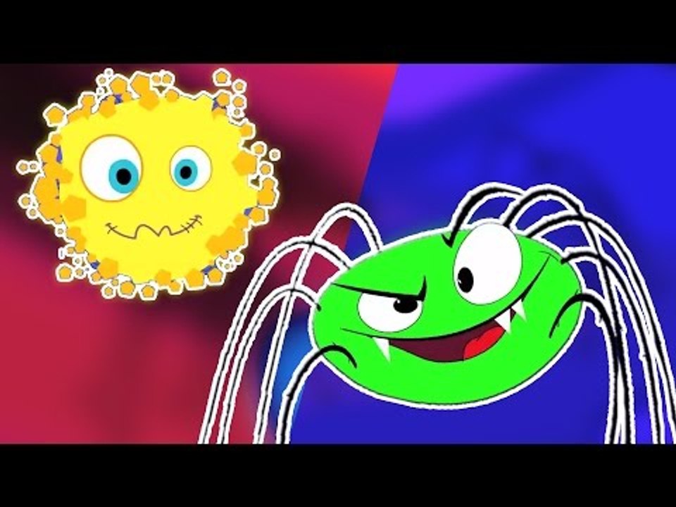 incy wincy spider | vidéo éducative | rimes populaires pour les enfants | Incy Wincy Spider