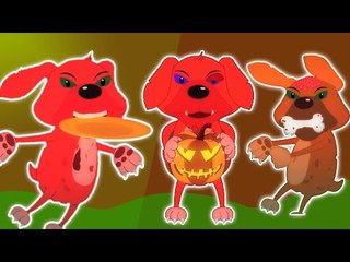 ห้าลูกสุนัขเล็ก ๆ น้อย ๆ | การ์ตูนสำหรับเด็ก | เนอสเซอรี่เพลง | เด็กสัมผัส | Five Little Puppies