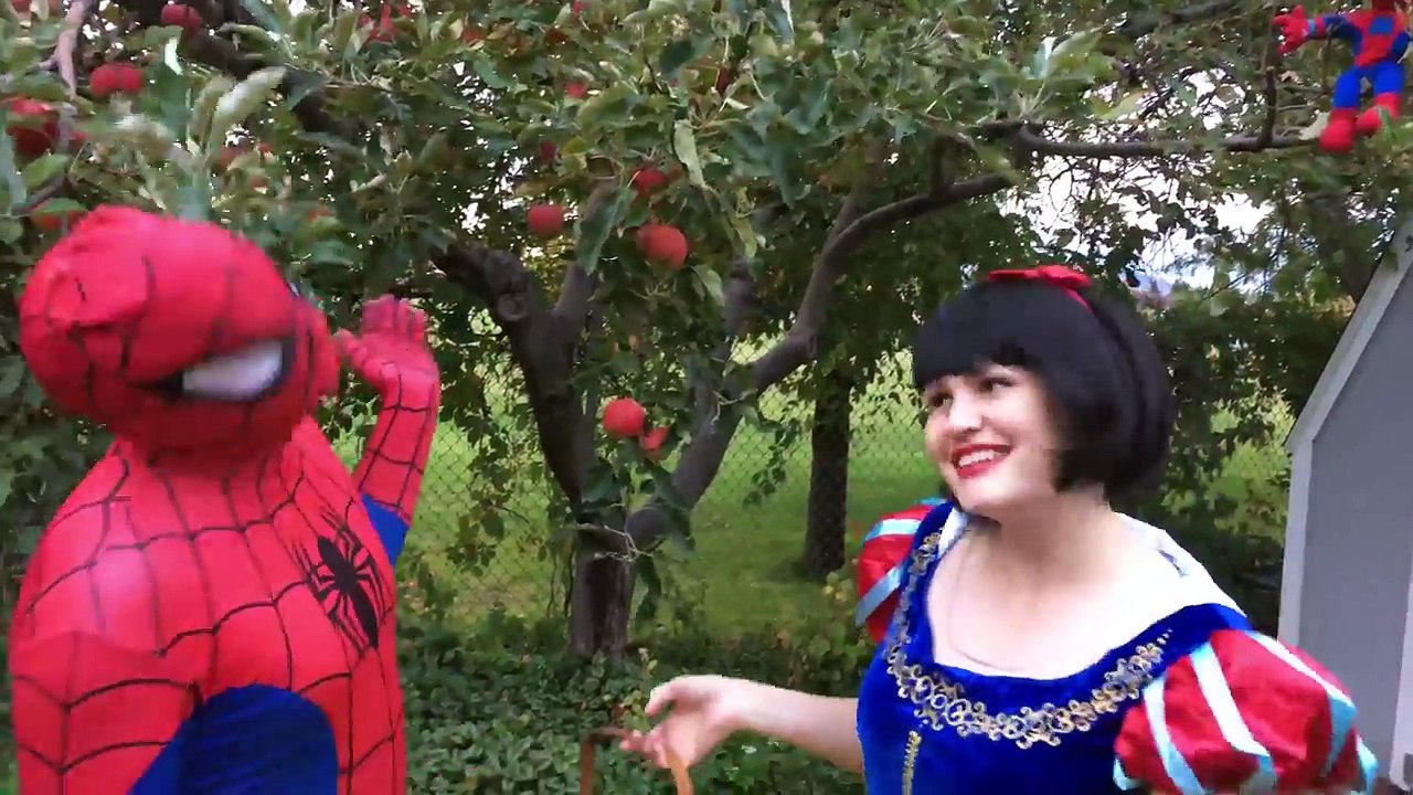 Pink Spidergirl Police Elsa Spiderman In Jail! Elsa Spiderman Superhero Kids Videos In Real Life