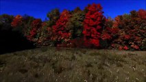 Beautés de l'automne filmées par un drone! Magnifique