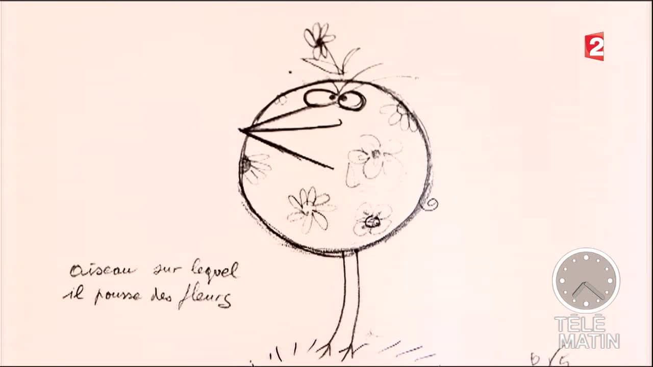 Régions - De drôles d’oiseaux, les Shadoks