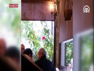 FETÖ firarisi Osman Özsoy Toronto’da görüldü