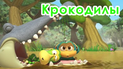 Крокодилы все новые серии 2016 подряд на русском без остановок в fullHD 1080
