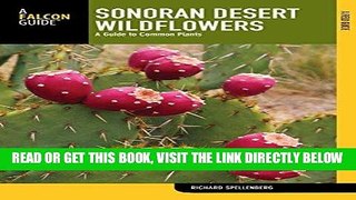 [Read] Ebook Sonoran Desert Wildflowers: A Guide To Common Plants (Wildflower Series) New Version