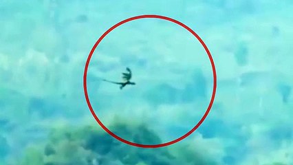 Il aurait filmé un dragon en plein vol. La vidéo suscite la polémique sur internet