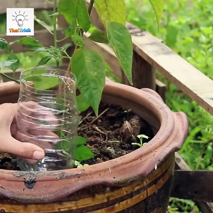 Make an wonderfull and usefull work with waste bottles out of best in Just 3 Minute