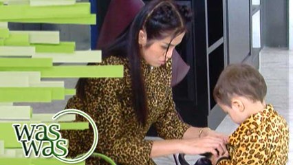 Highlight - WasWas 25 Oktober 2016