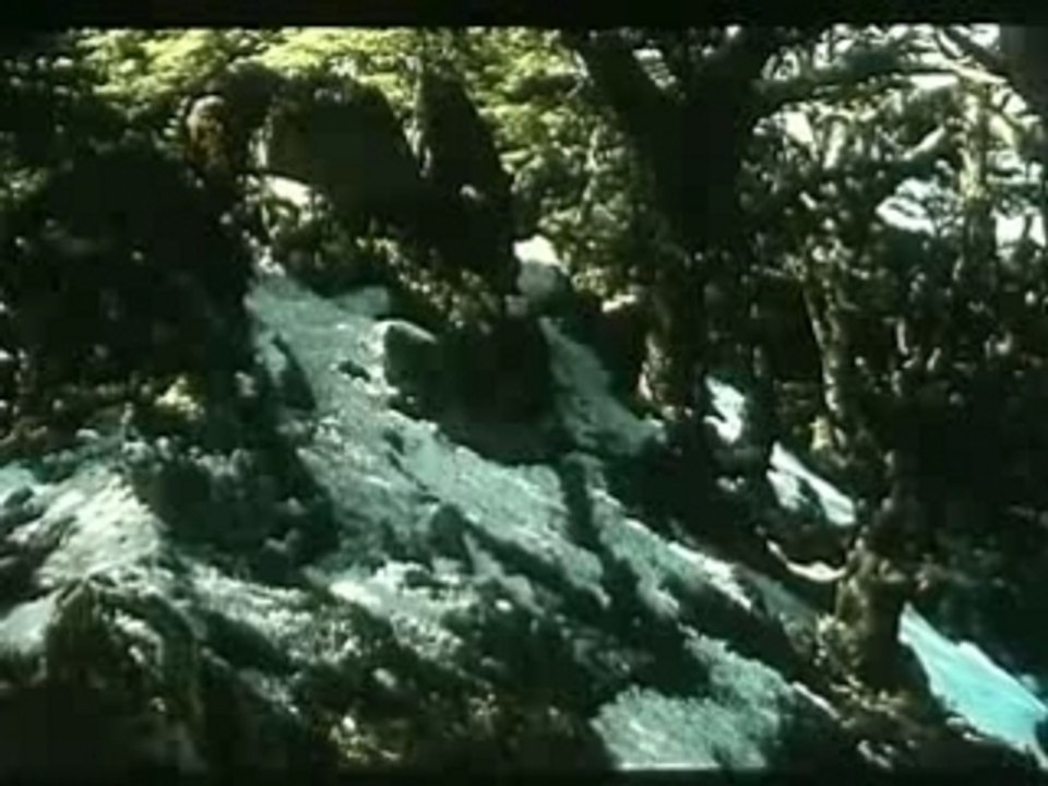 Machaho.CD01_Film_Kabyle_berbere_imazighen_nacimus