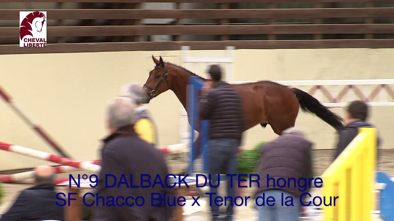 009 DALBACK DU TER
