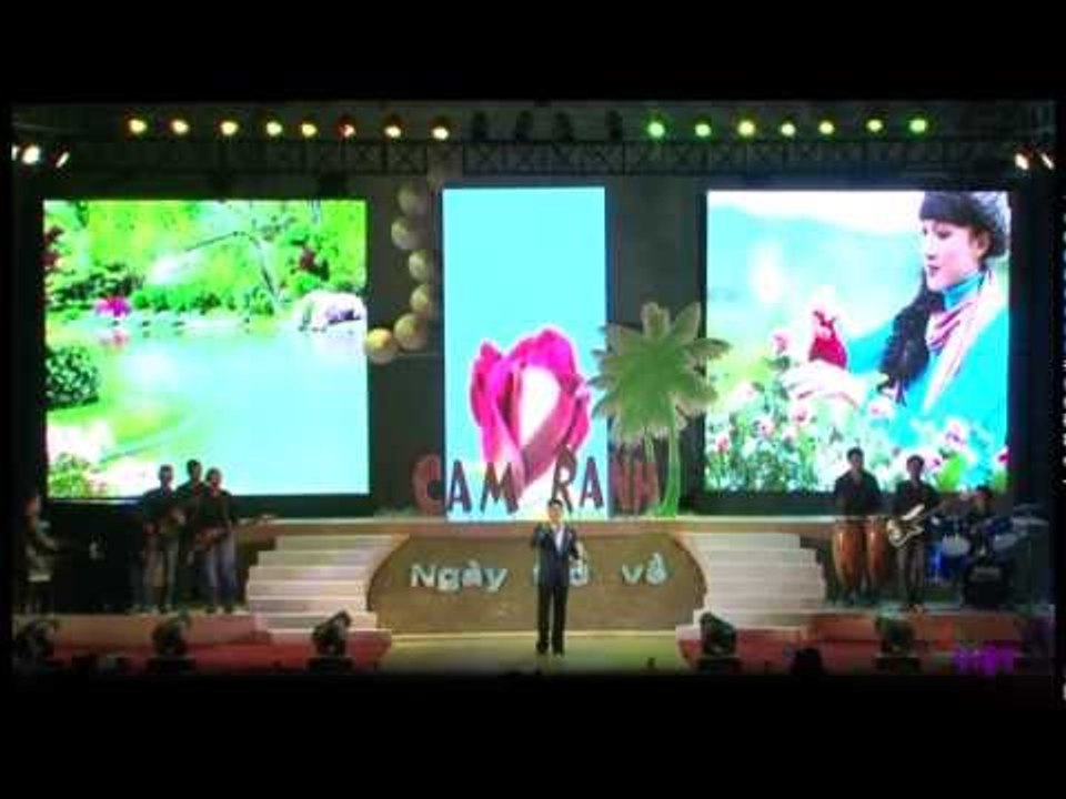 Giai Dieu Viet 5 - Chuyen tinh co gai ban hoa hong - Quang Linh