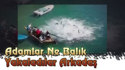 Adamlar Ne Balık Yakaladılar Arkadaş