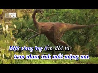 KARAOKE - Ngay Hanh Phuc Remix -  Bang Cuong