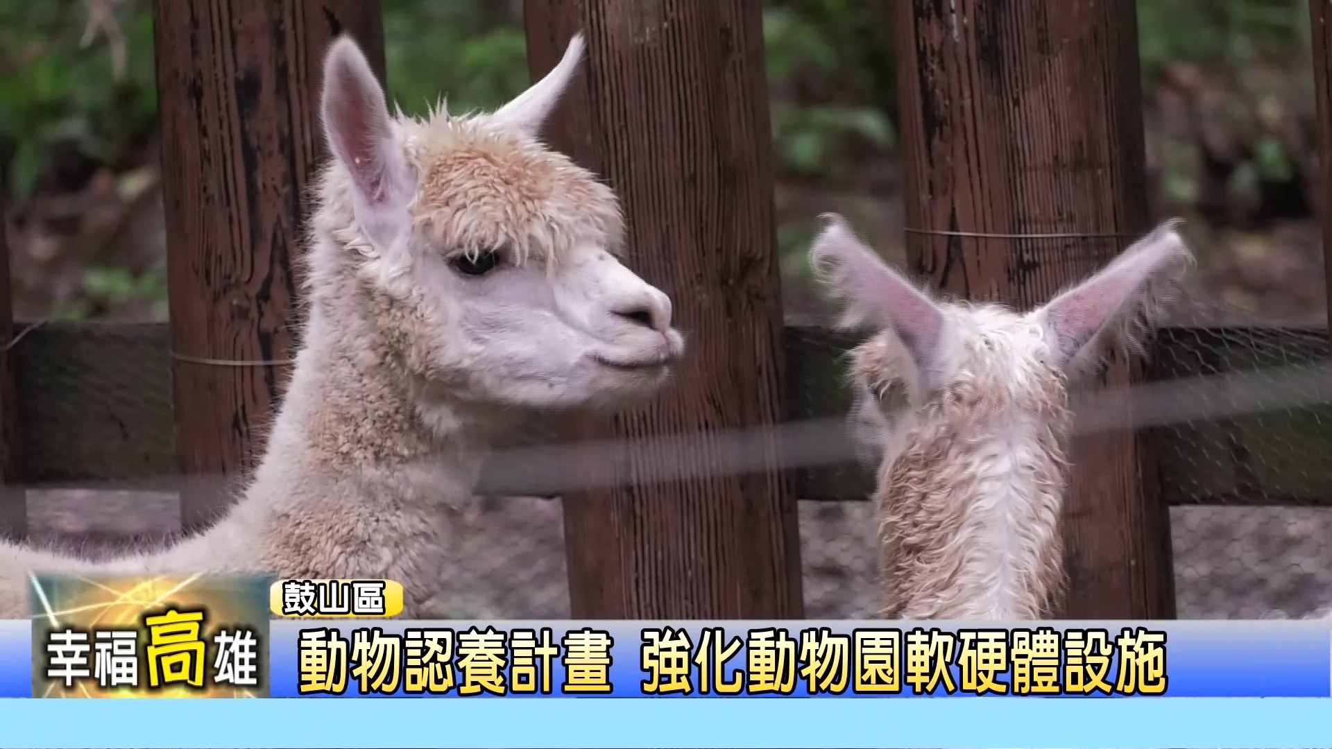 壽山動物園認養計畫