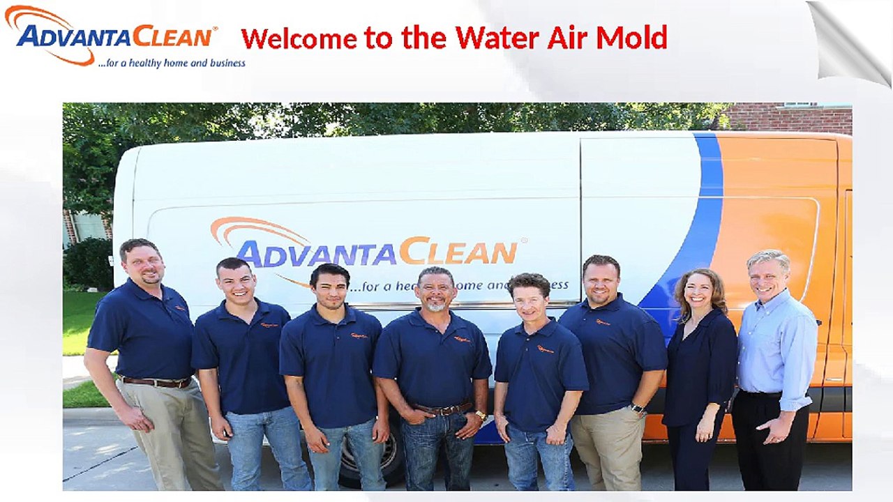 Mold Removal Water Air Mold