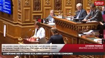 La réforme des rythmes scolaires dans les petites communes : le débat (différé du 18/10) - Les matins du Sénat (25/10/2016)