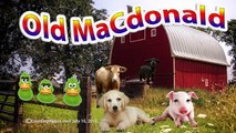 ABC song for baby Old Macdonald had a farm EI EI O iaiao Songs