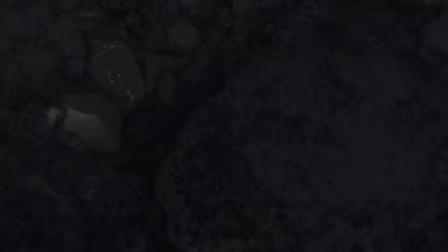 ANEXO vs DEGO - Cuartos Semifinal Concepción (Chile) 2016 - Red Bull Batalla de los Gallos