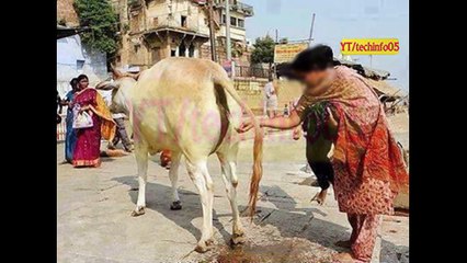 Most Compilation Viral Funny Video Can't Stop Laughing - October 9, 2016 - Part 1