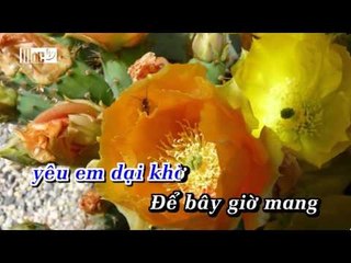 KARAOKE Khi Người Yêu Lừa Dối - Ánh Minh || BEAT CHUẨN CA SĨ