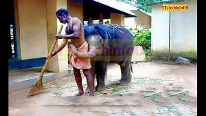 Funny Viral Most Funny Video Can't Stop Laughing- October 8, 2016 - Part 1