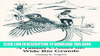 Ebook A Yankee Crosses the Wide Rio Grande Free Read