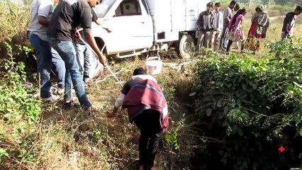 Puppy rescued from 50 ft fall has a happy ending