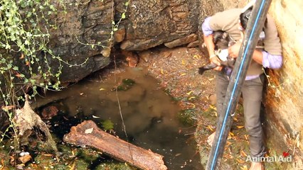 Rescued puppy overjoyed to reunite with his mother