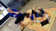Una madre llora al ver a su hijo con autismo relacionarse con su primer amigo un perro