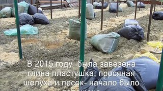 Виноград посадка шпалеры укрытие на зиму