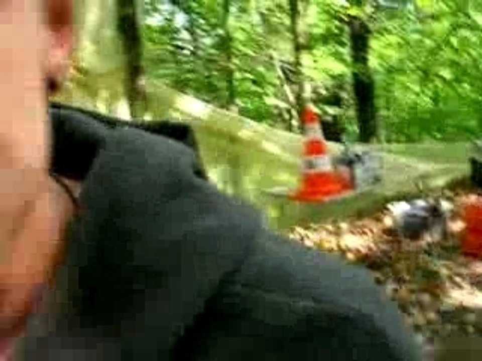 teuf atipik le petit farfadet