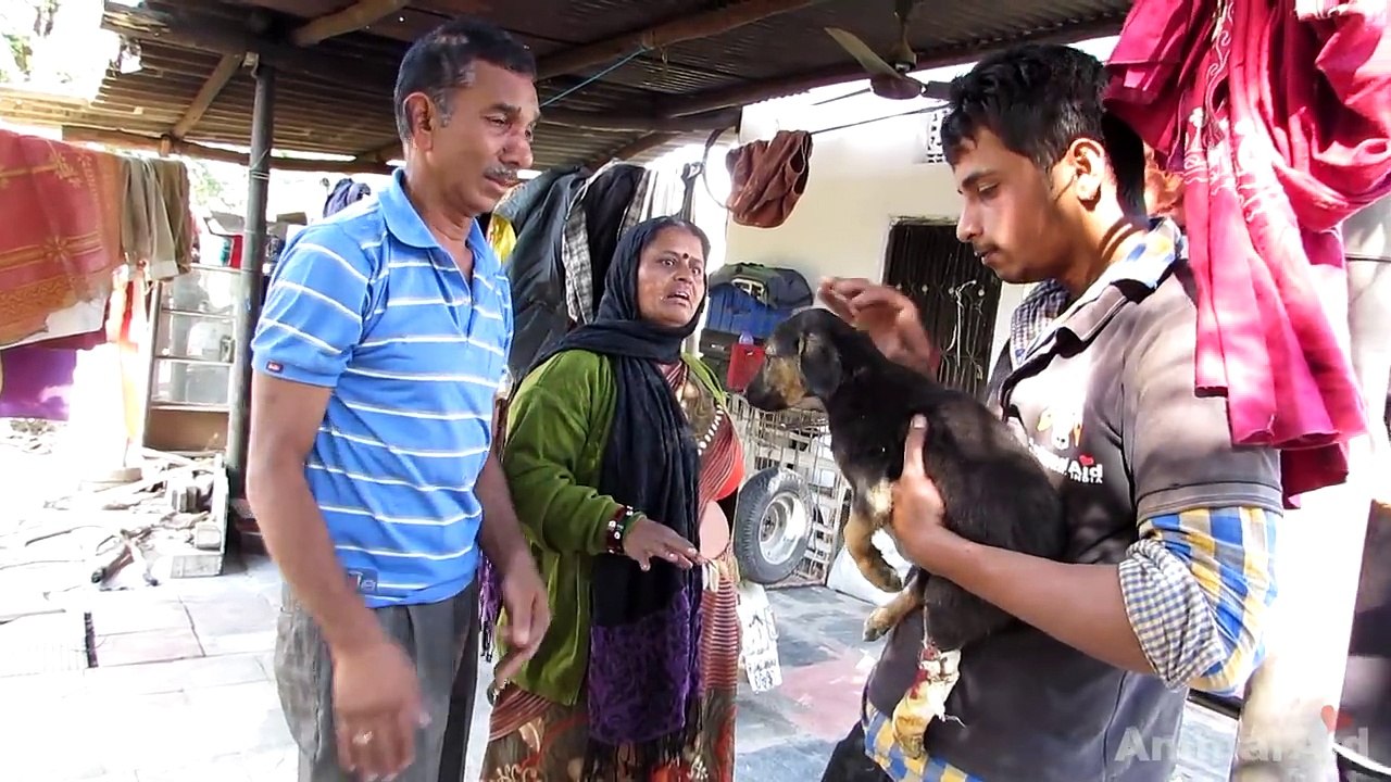 This man broke down when he thought his puppy wouldn’t survive - watch till the end