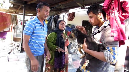 This man broke down when he thought his puppy wouldn’t survive - watch till the end