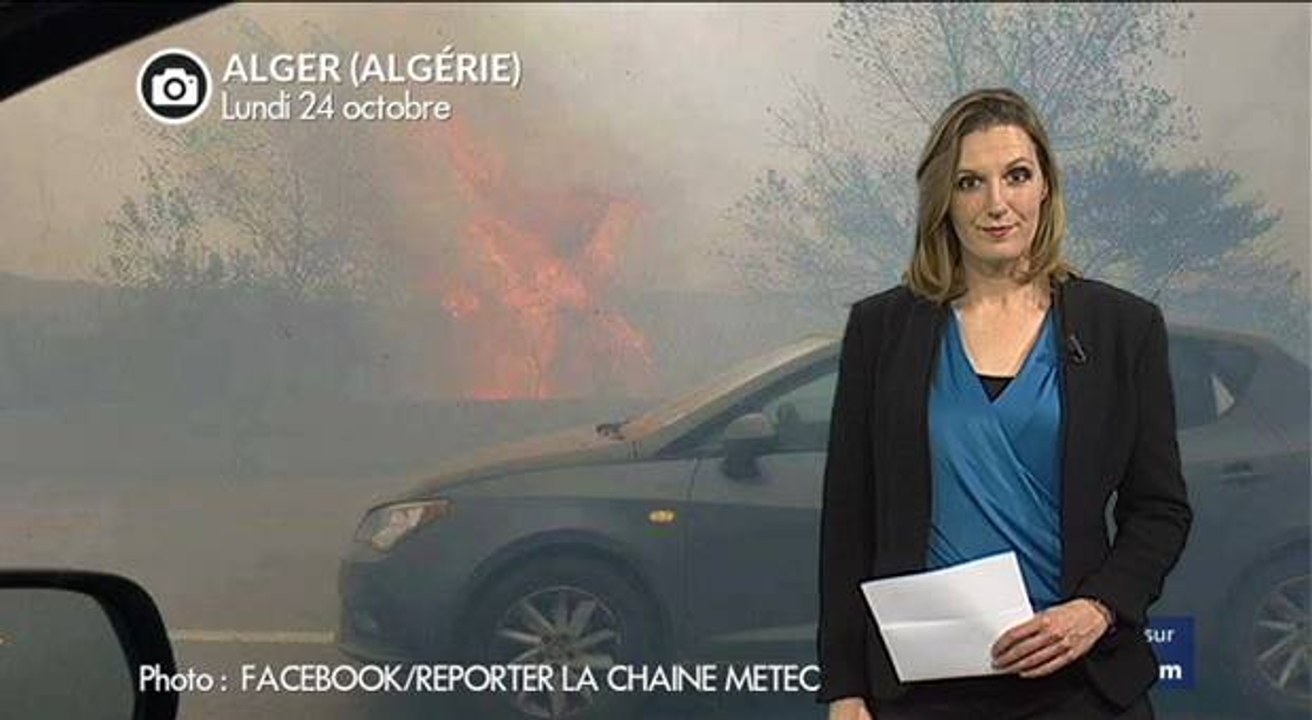 Alger : chaleur extrême et incendies