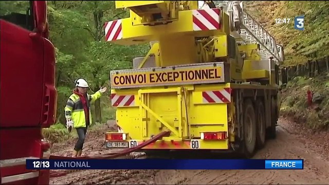 Noël : le sapin de Strasbourg vient des Vosges