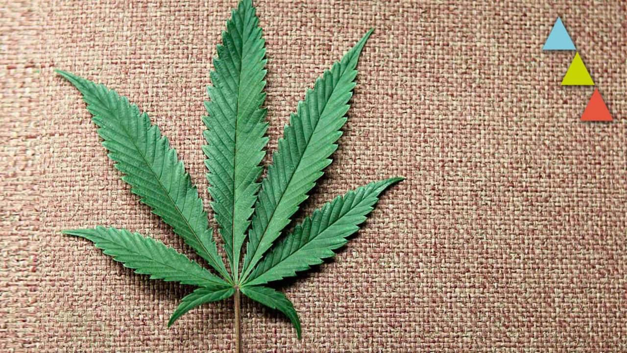 10 coisas que acontecem quando fumas marijuana