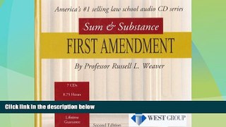 Big Deals  Sum and Substance Audio on First Amendment  Best Seller Books Best Seller