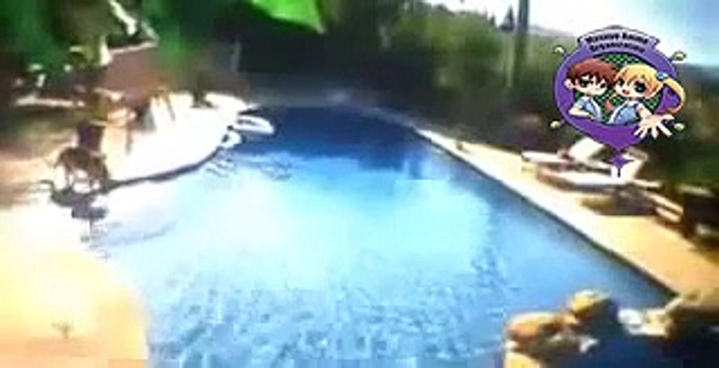 Actividad paranormal 2