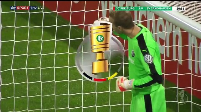 1-0 Mats Møller Dæhli Goal SC Freiburg 1-0 SV Sandhausen Germany DFB Pokal Round 2 - 25.10.2016