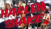 Harlem Shake ( Madonna, Lady Gaga, Lana Del Rey, Cher, Rihanna, Katy Perry, Liza)