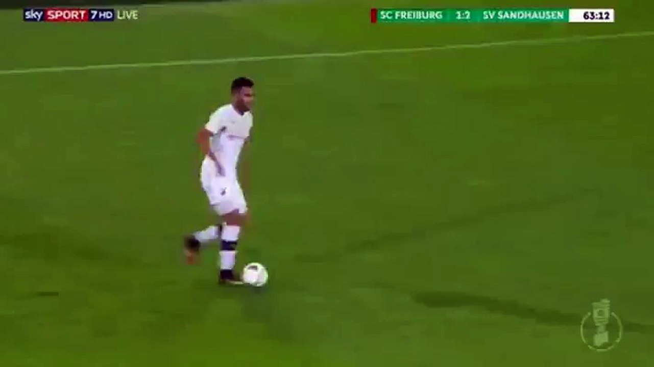 Richard Sukuta-Pasu Goal HD - Freiburg 1-3 Sandhausen 25.10.2016