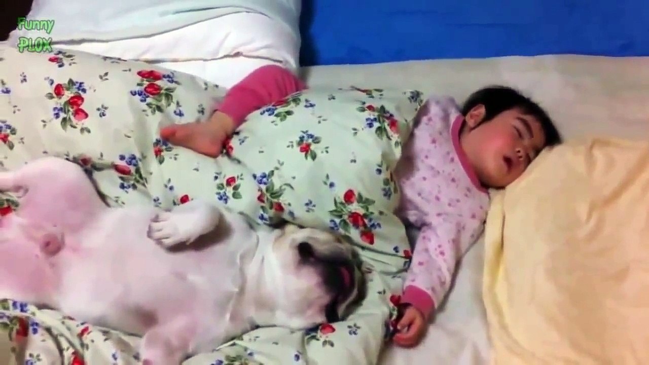 REALLY FUNNY ANIMALS 