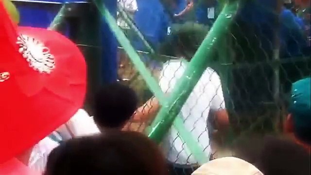 BUFFALO FIGHTING FESTIVAL | Most Amazing Wild Animals Attacks | Funny videos funny animals #4