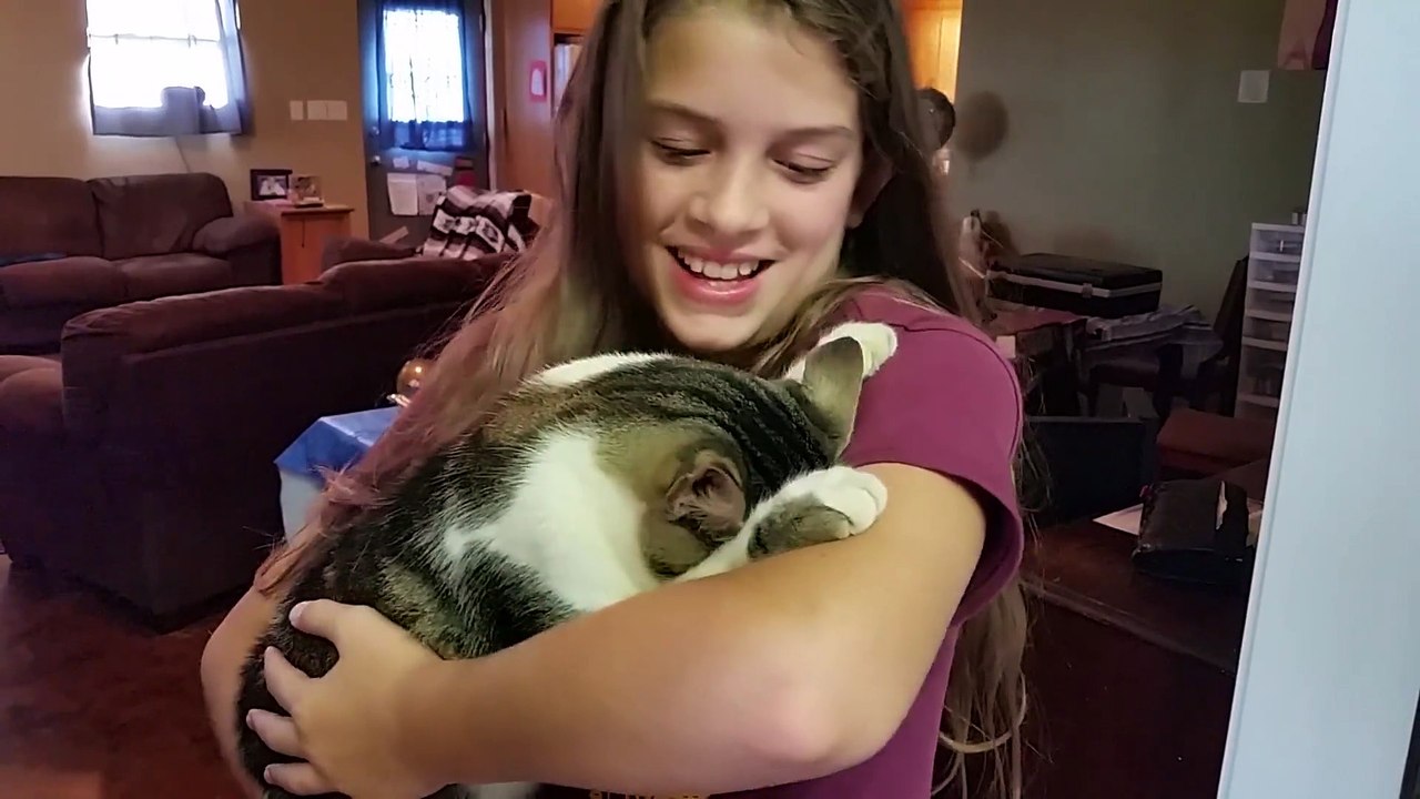 Lazy Cat Hates Going Outside