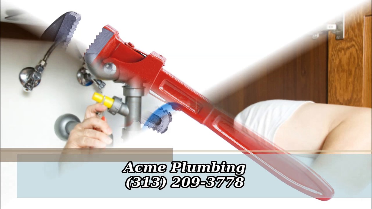 Acme Plumbing - (313) 209-3778