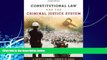 Big Deals  Constitutional Law and the Criminal Justice System  Best Seller Books Best Seller