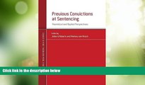 Big Deals  Previous Convictions at Sentencing: Theoretical and Applied Perspectives (Studies in