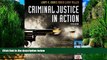 Big Deals  Criminal Justice in Action  Full Ebooks Most Wanted